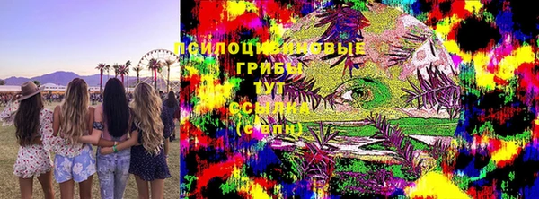 шишки Гусев
