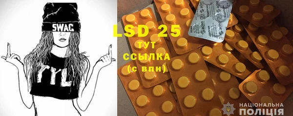 шишки Гусев